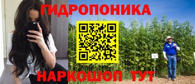 мдпв Нальчик