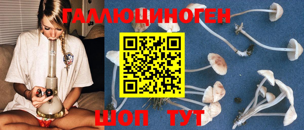 Псилоцибиновые грибы мухоморы  Вход с VPN  Чехов 