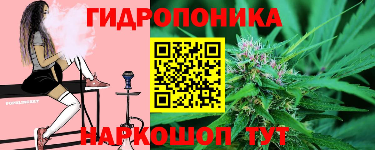 Бошки марихуана AK-47  Бошки Шишки планчик  Шишки марихуана ГИДРОПОН  Чехов  Вход с VPN 